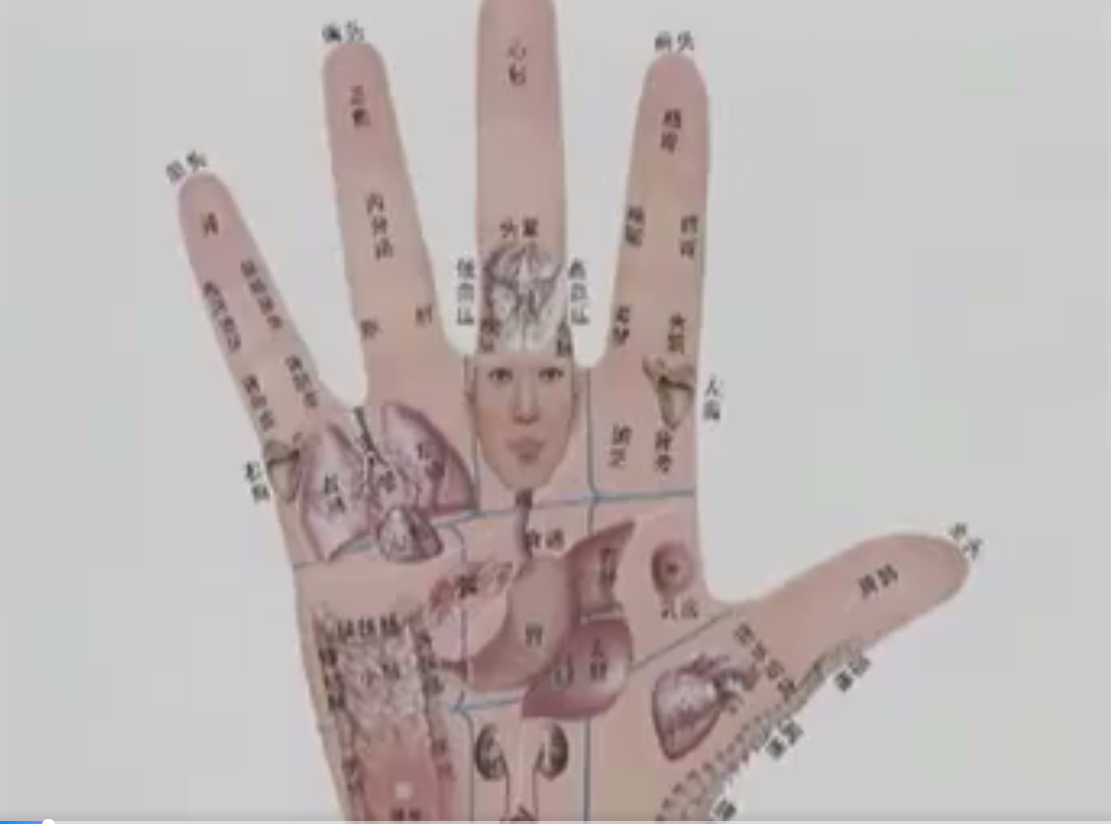 蔡洪光-观手知健康10集–百度网盘