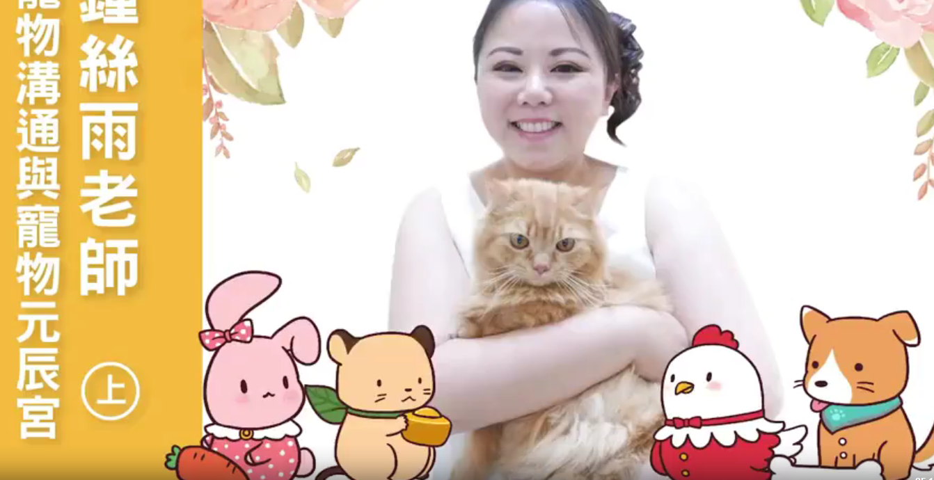 宠物沟通 宠物元辰宫6集–百度网盘