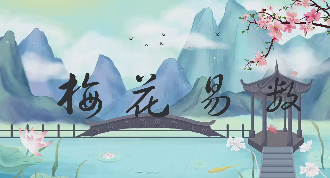 冯武杰《梅花易数》30集–百度网盘