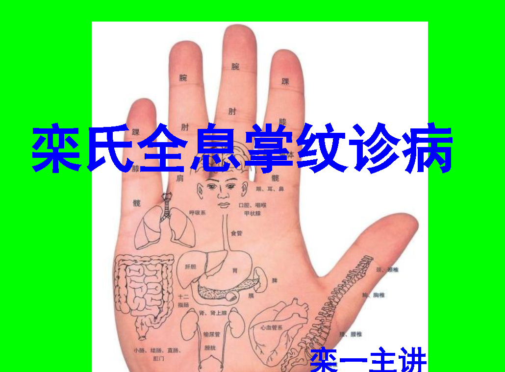 栾氏全息掌纹诊病课件电子书1本–百度网盘