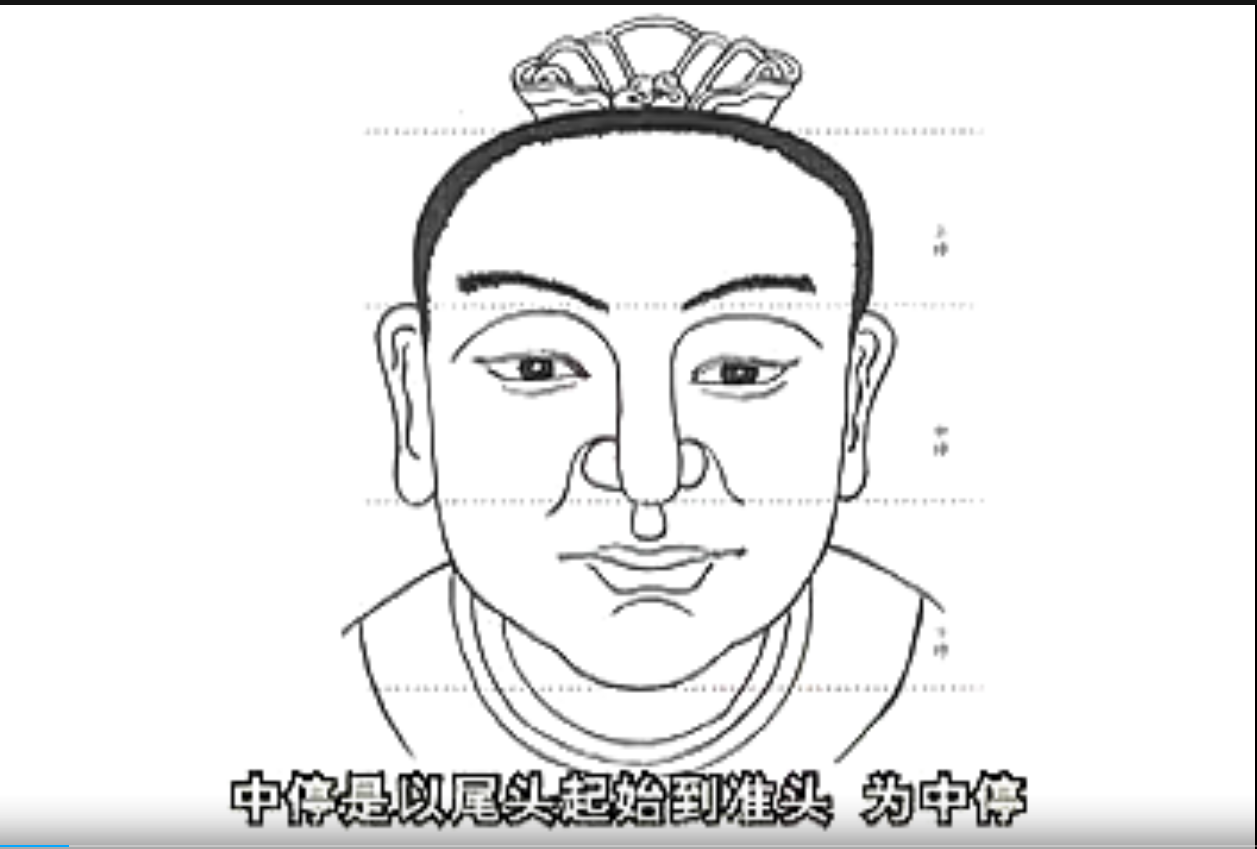 基础面相学讲座教学视频11集–百度网盘