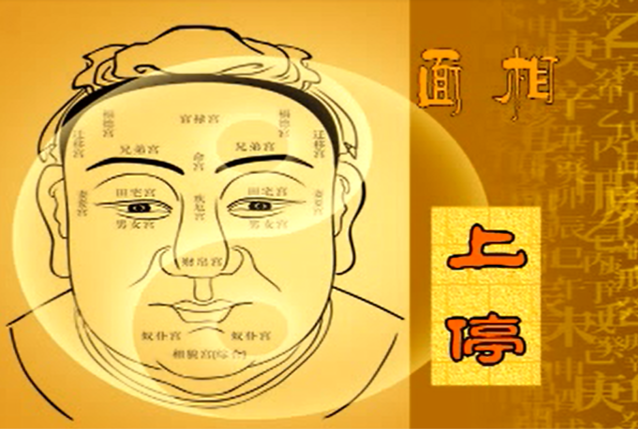 宗源主讲《面相风水学》7集–百度网盘