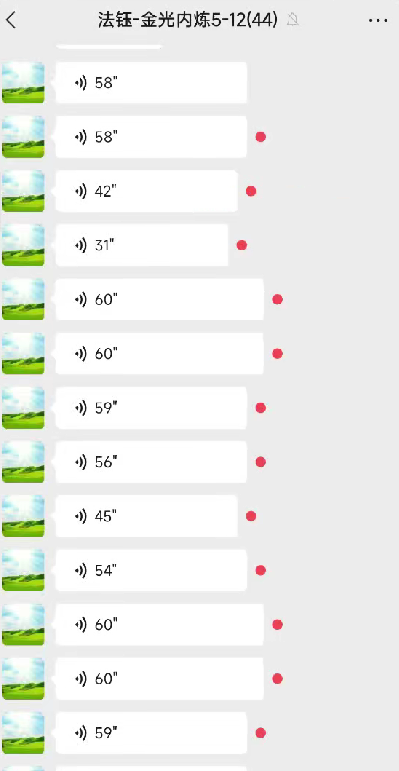 法钰-金光内炼1集–百度网盘